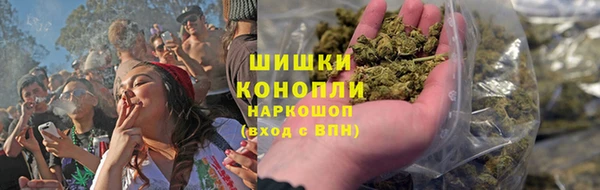 гидра Аркадак