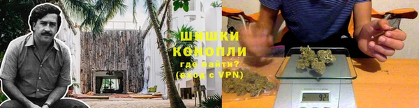 гидра Аркадак
