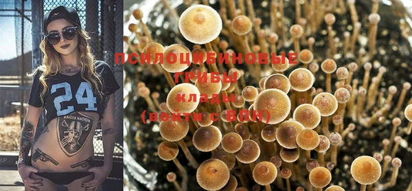 бошки Гатчина