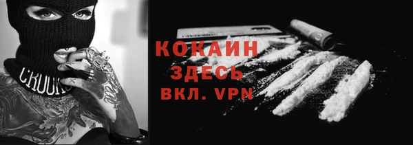 гидра Аркадак
