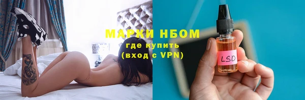 гидра Аркадак